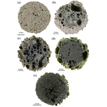 Rapid sintering of weathered municipal solid waste incinerator bottom ash and rice husk for lightweight aggregate manufacturing and product properties