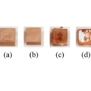 Water treatment sludge as precursor in non-dehydroxylated kaolin-based alkali-activated cements