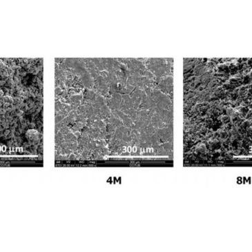 Preliminary Study of New Sustainable, Alkali-Activated Cements Using the Residual Fraction of the Glass Cullet Recycling as Precursor