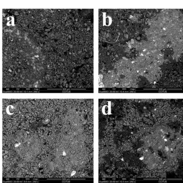 Municipal Solid Waste Incineration Bottom Ash as Sole Precursor in the Alkali-Activated Binder Formulation