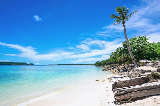 Archaeometallurgical Exploration: Historical Nails Unearthed in Guam, Mariana Islands - Western Pacific