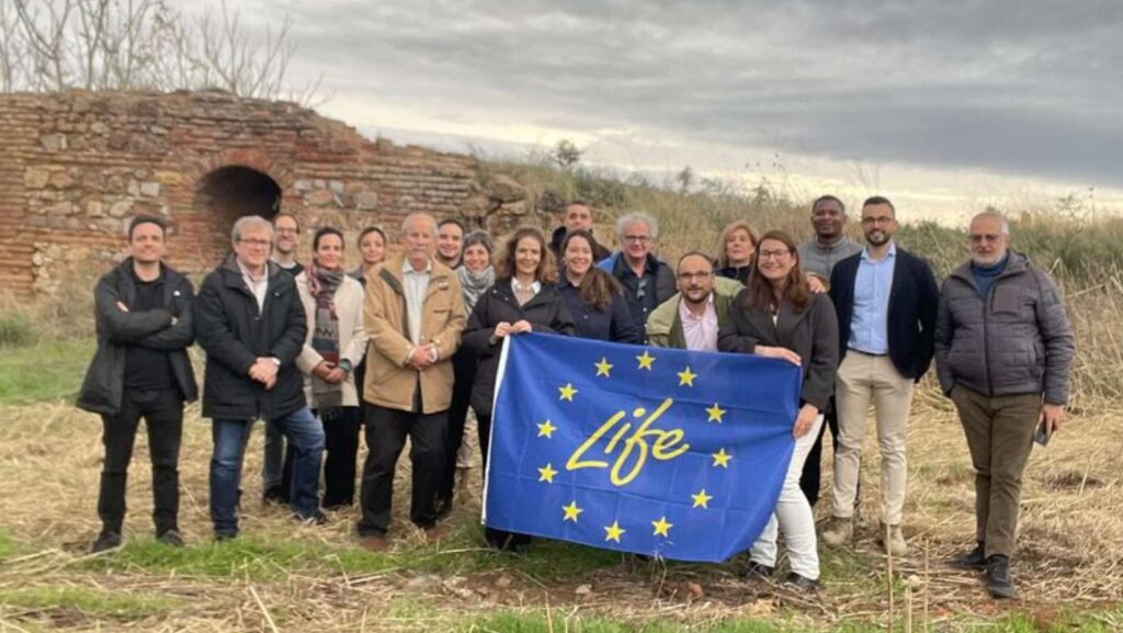 Cerco de Almadenejos (CDA): A Pilot for the Remediation of Mercury-Contaminated Soils